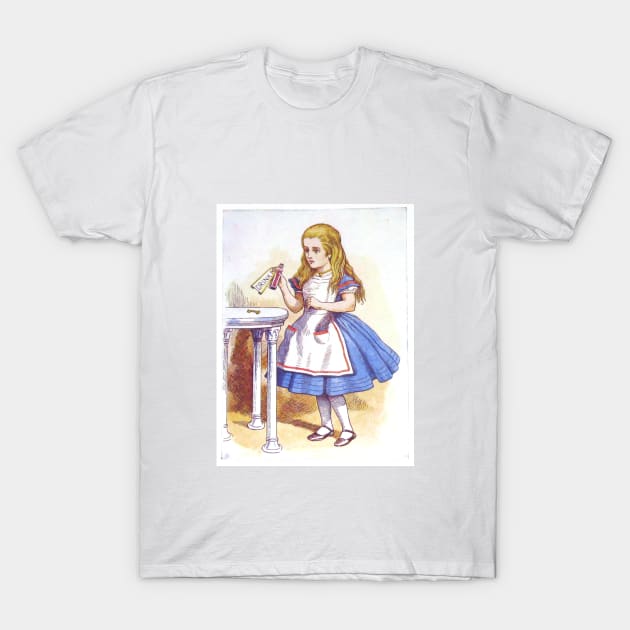Alice in Wonderland T-Shirt by tfortwo
